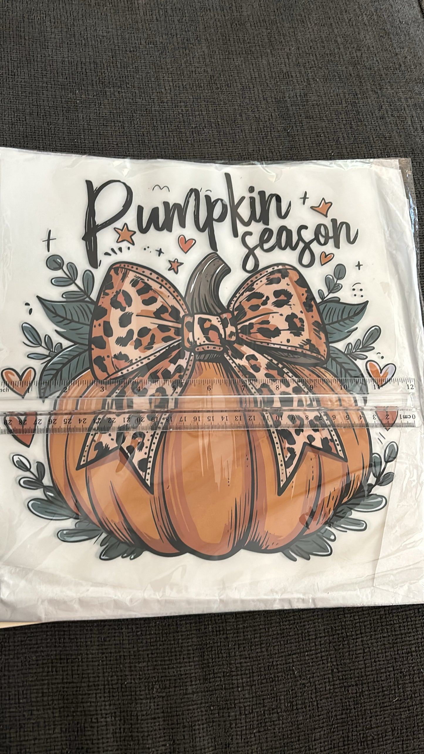 Pumpkin Season DTF Shirt Transfer