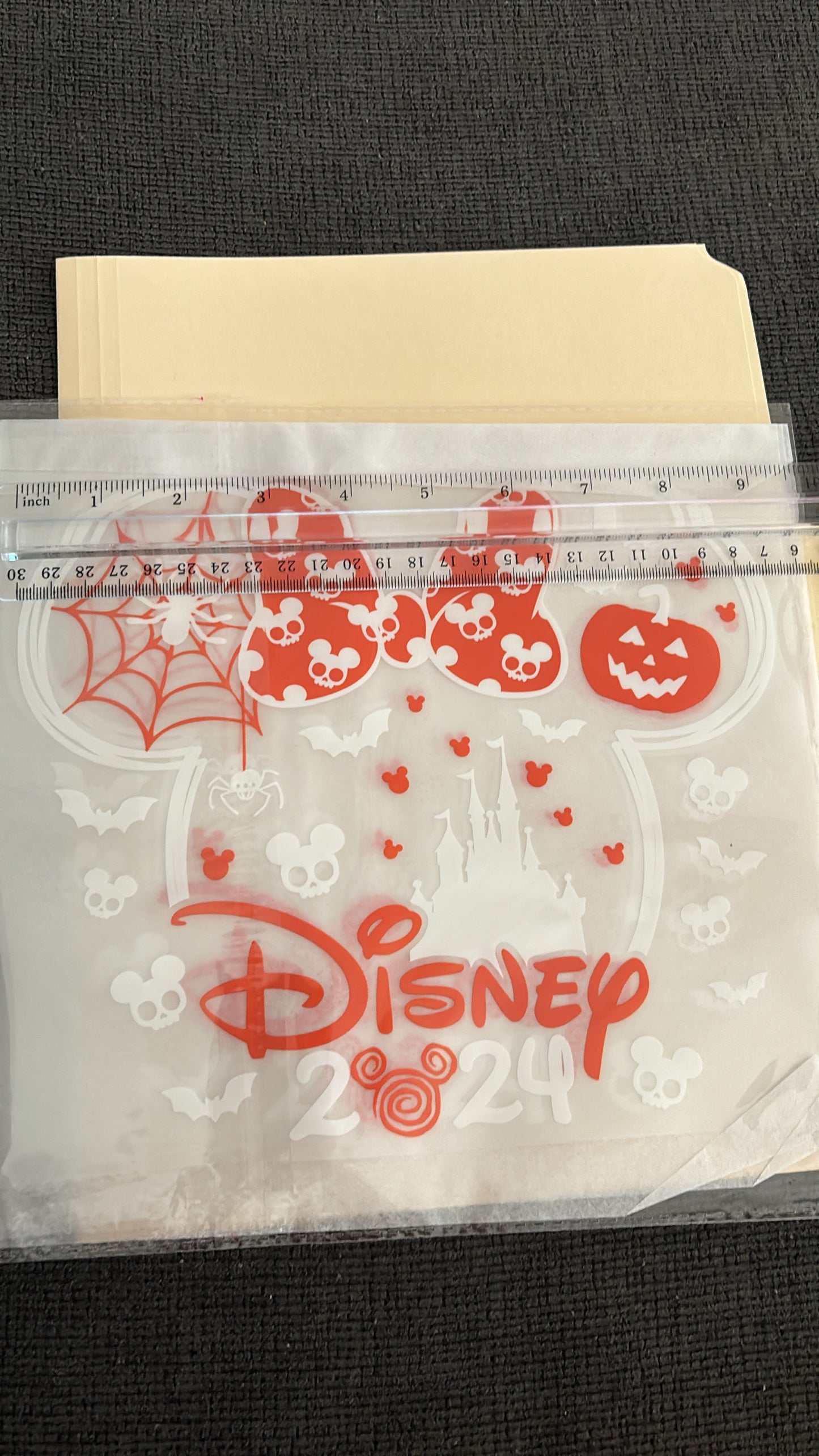 D-isney 2024 DTF Shirt Transfer