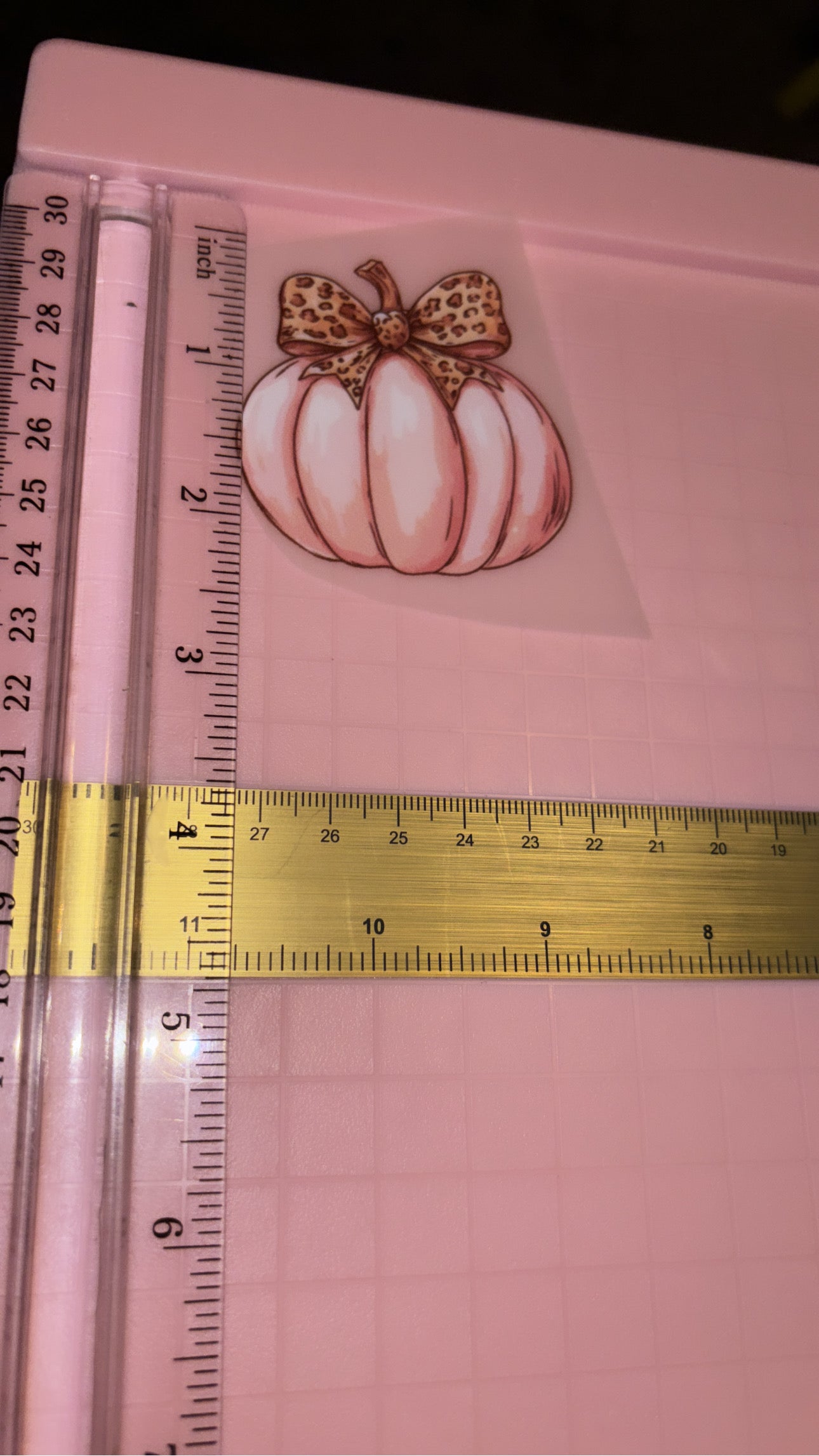 Pink Pumpkin DTF Shirt Transfer