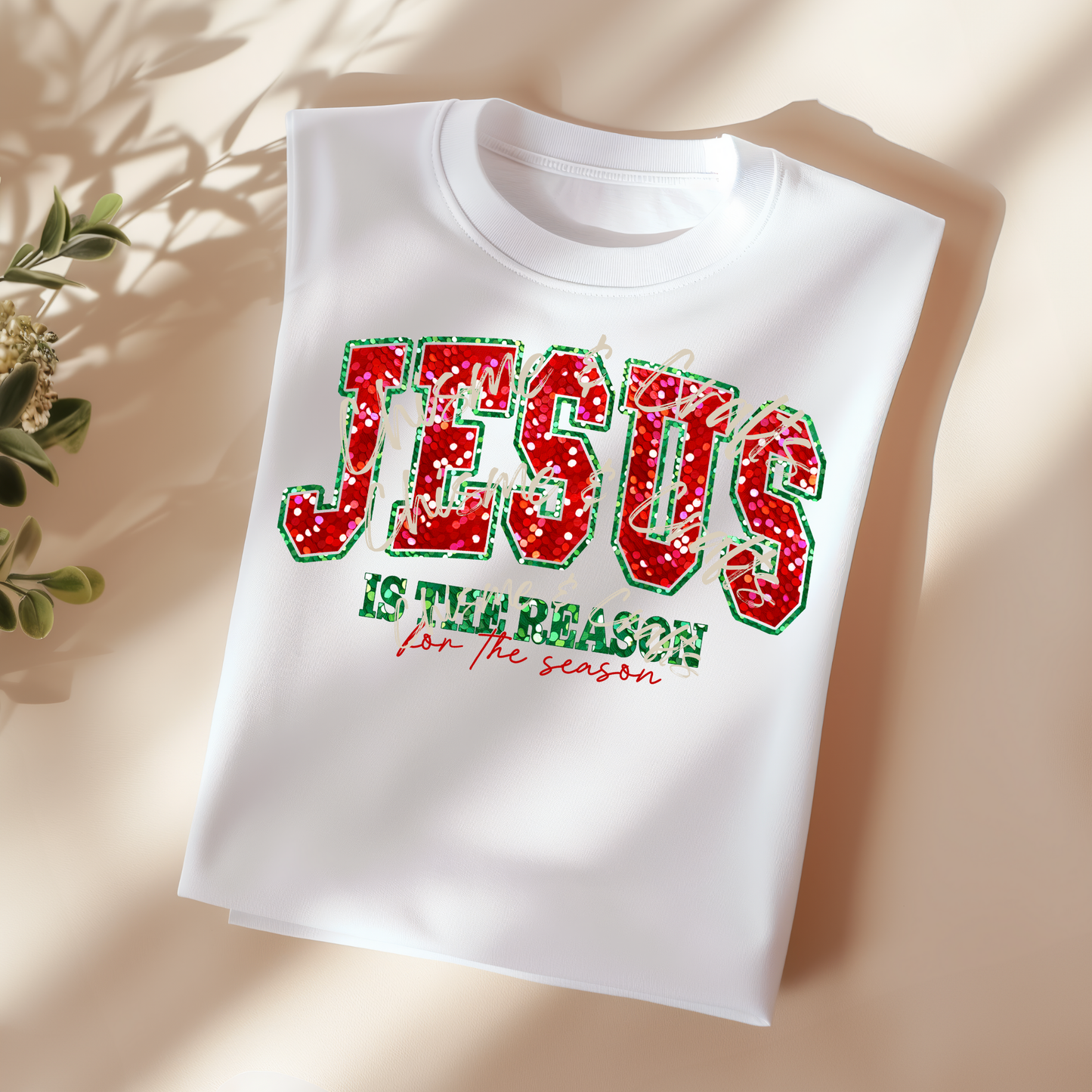 Jesus is the Reason DTF Shirt Transfer (Pre-Sale)