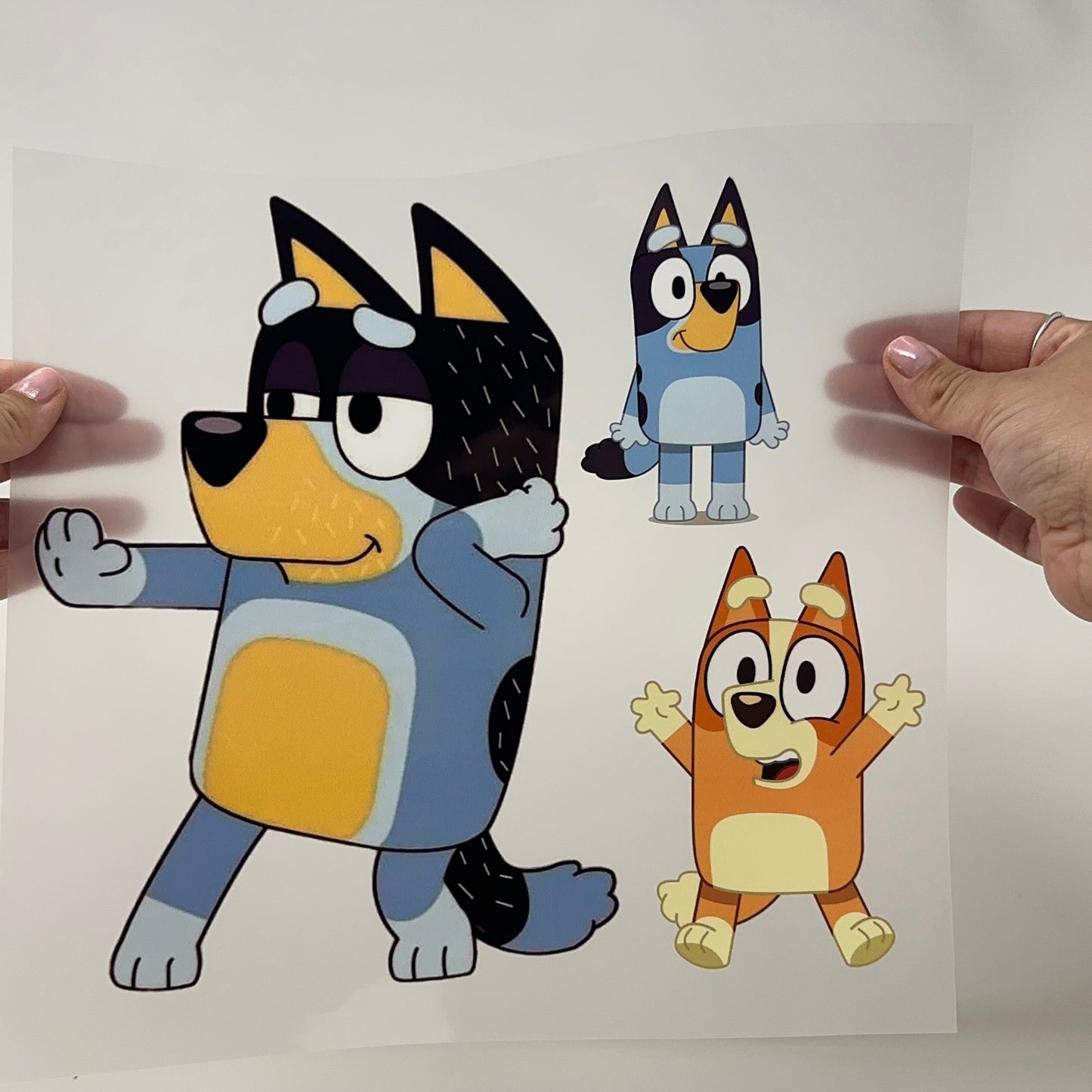 Bluey, Bingo, and Dad Club DTF Shirt Transfer