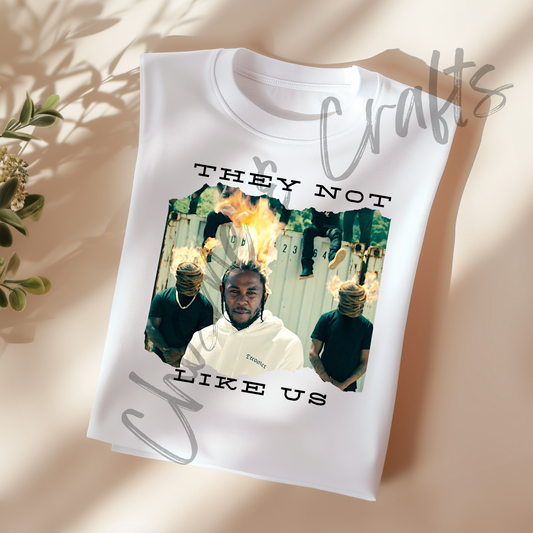 They Not Like Us DTF Shirt Transfer
