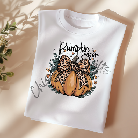Pumpkin Season DTF Shirt Transfer