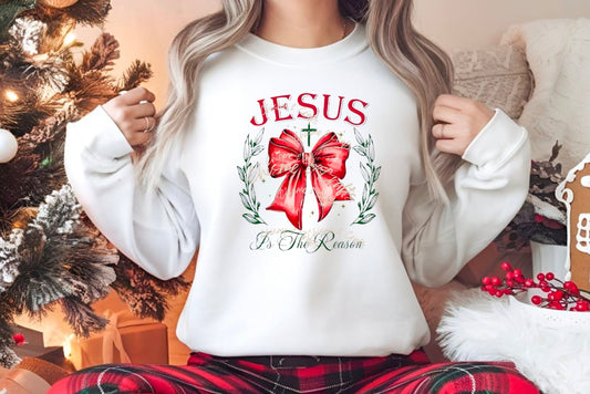 Jesus Is the Reason DTF Shirt Transfer